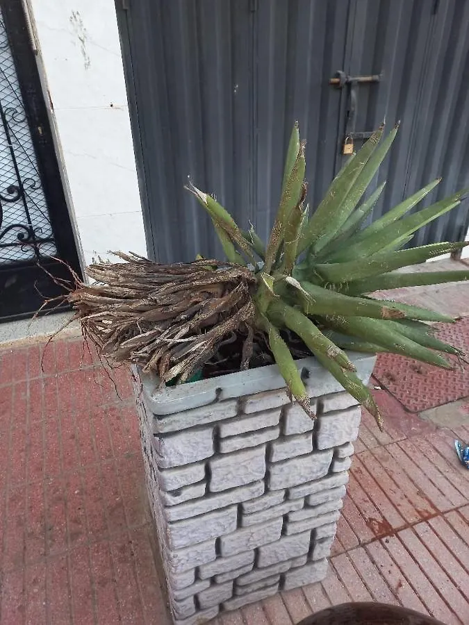 Appartement Hassania Casablanca Morocco
